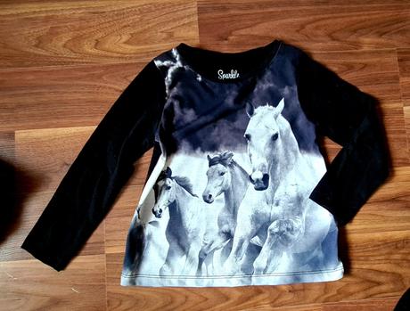 Topik s konikmi, palomino,98