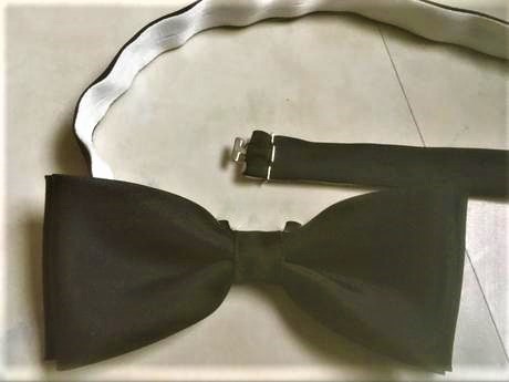 Spoločenský motýlik,