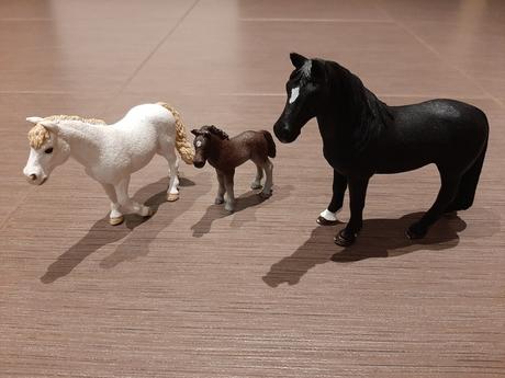 Schleich kone, 