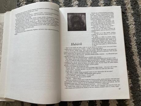 Povesti o hradoch i  (1991), 