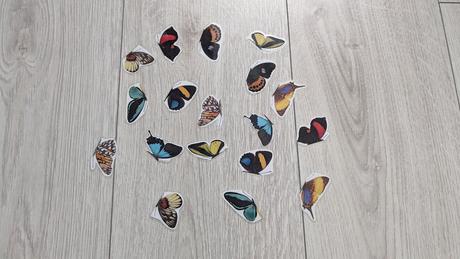 Aktivity na rozvoj zrakového vnímania a pozornosti,