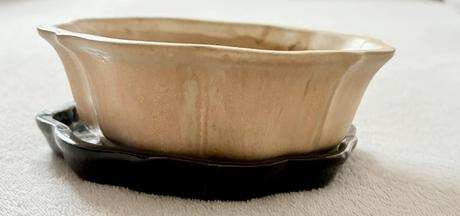 Kvetináč na bonsaj, 