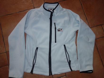 Bledomodra fliska, m