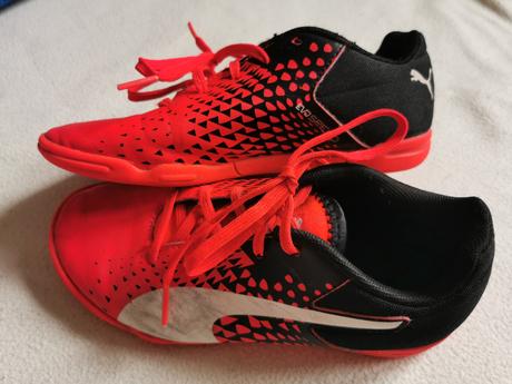 Halovky puma, puma,34