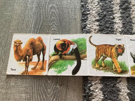 Kde bývajú zvieratká a zoo / leporelá,