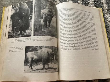 Živé poklady prvé vydanie 1963,