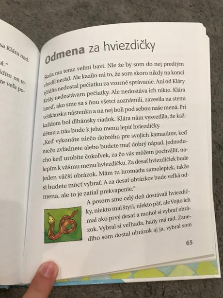 Kniha - ako som dostal sestru,