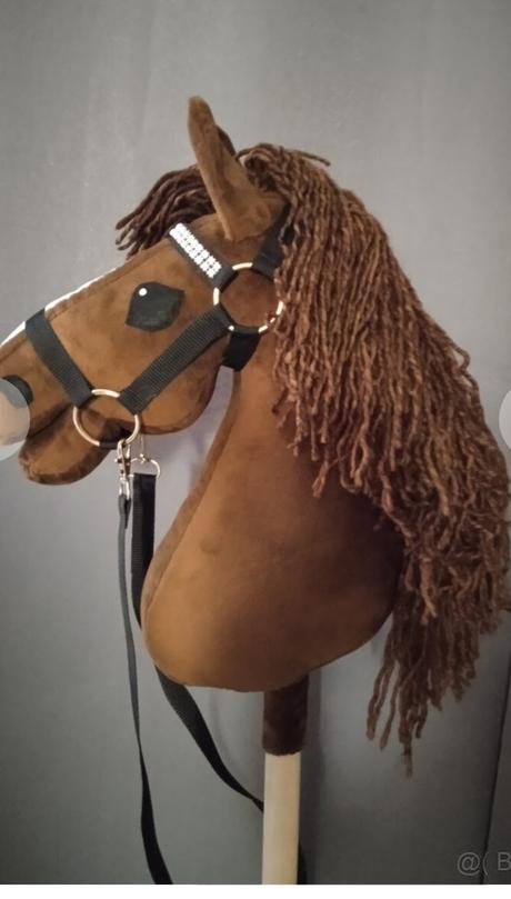 Hobby horse, 