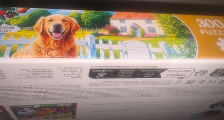 Puzzle 300 trefl 2x top stav, 