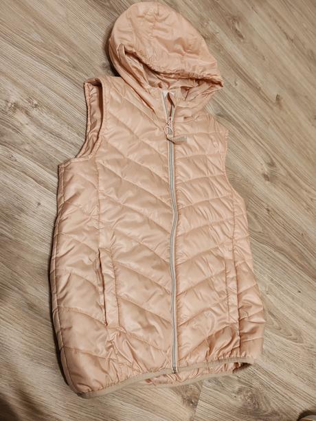 Vesta cocodrillo 152, coccodrillo,152