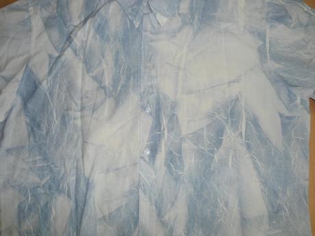 Bledomodra panska kosela, l