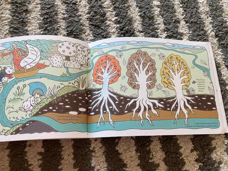 Vodný svet v obrázkoch,