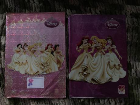 Obal na zošity a4-2 ks,