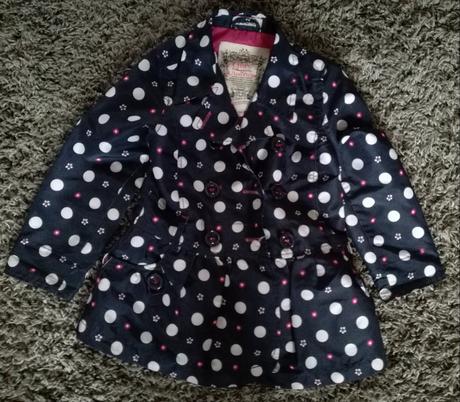 Bodkovaný trenckot, 104