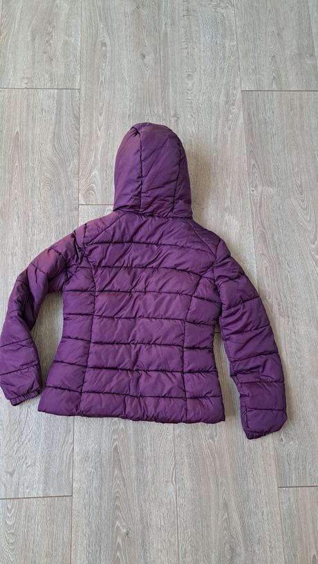 Fialová vetrovka, terranova,l