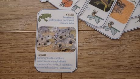 Kartove montessori aktivity, 