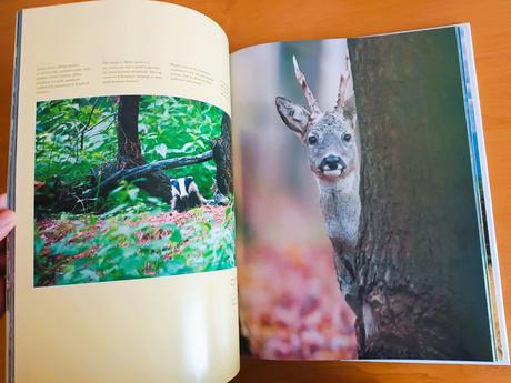 Slovenské národné parky, 