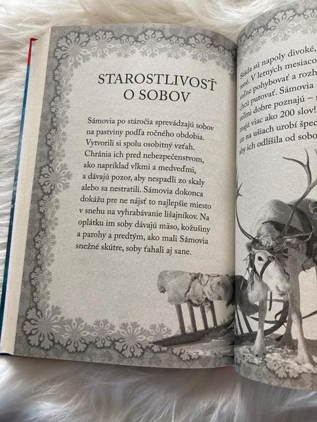 Lotka a vianoce so sobom holly webb,
