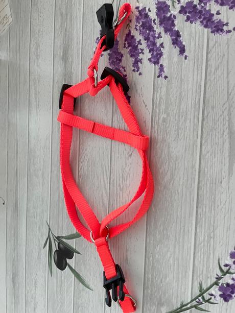 Postroj pre šteniatko, 