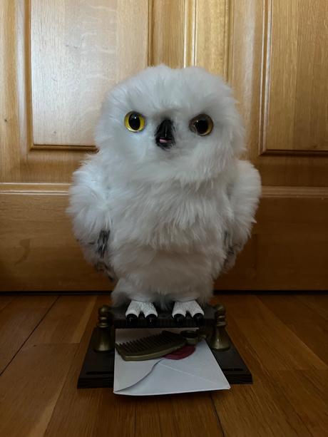 Hedwiga harry potter, 