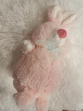 Chlpatý ružový zajko,