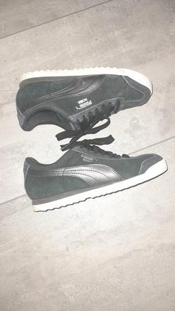 Puma roma, puma,37