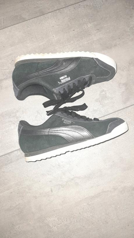Puma roma, puma,37