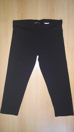 Trištvrťáky, terranova,s