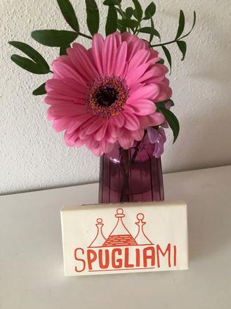 Nové handmade mydlo pugliami, 100 g, 