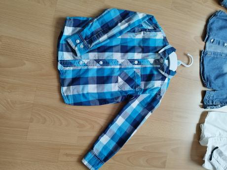 Kosela, palomino,110