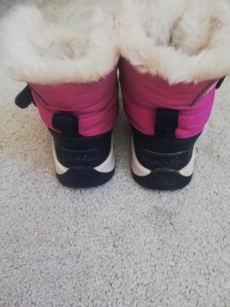 Snehule sorel, sorel,28