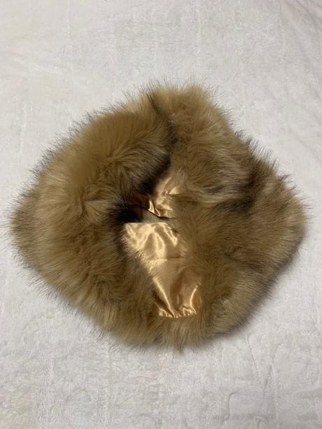 Svetlohnedý nákrčník,