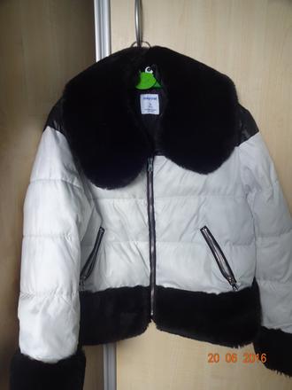 Bunda do pasu pre slecnu, mayoral,158