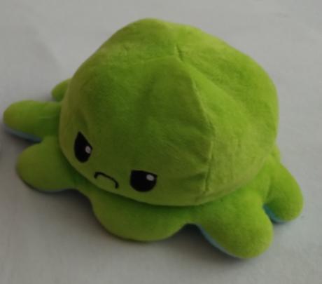 Chobotnica plyšák, 