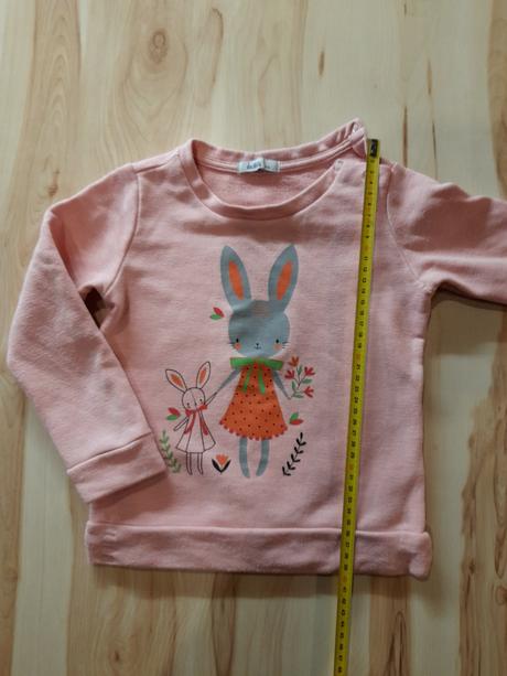 Mierne zateplená mikinka so zajačikom, 104