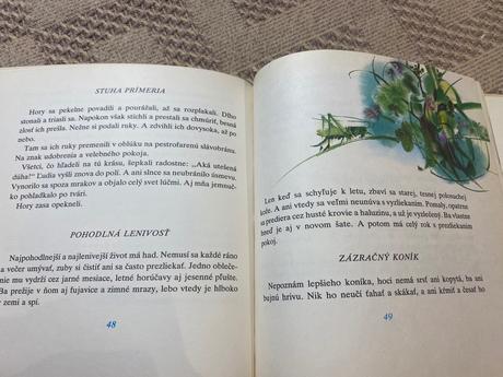 Stará kniha kuchta ladislav biely zvonček 1980,