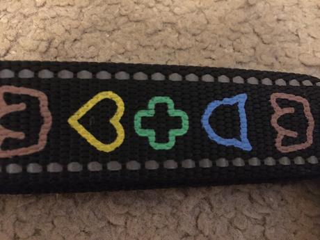 Obojok a vôdzka pre psa,