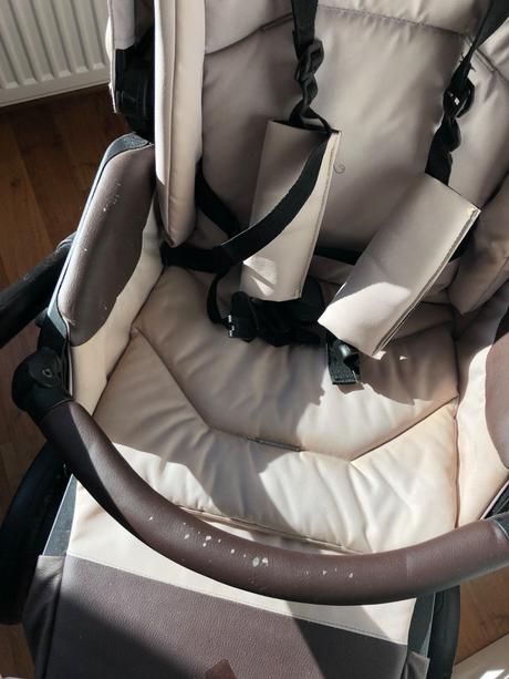 Bebetto luca pro 2023, bebetto,bebetto luca