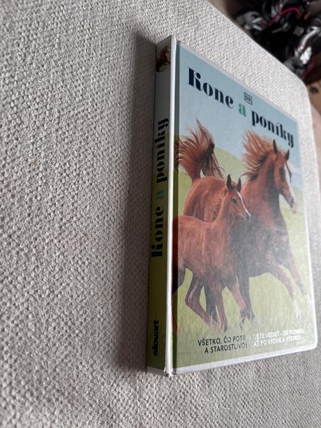 Kone a poniky, 