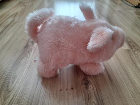 Prasiatko - chrochta a chodi, 