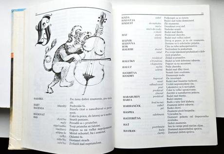 Kniha snár, r. 1990, ela brentová,