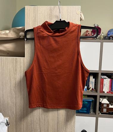 Croptop, m