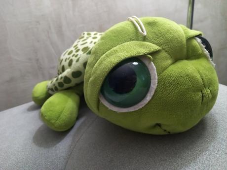 Plyšová korytnačka, 