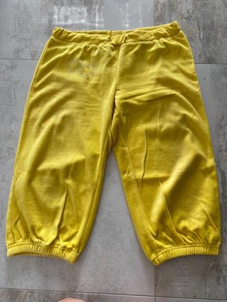 3/4teplaky, new yorker,m