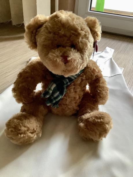 Krasny plyšový macko, 