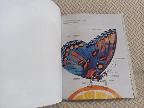 Laura knowles - how to be a butterfly hb, 
