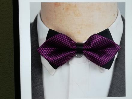 Pánsky motýlik 16,