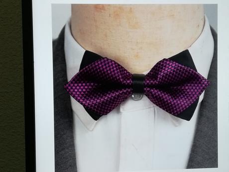 Pánsky motýlik 16, 