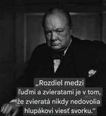 Niet čo dodať....
