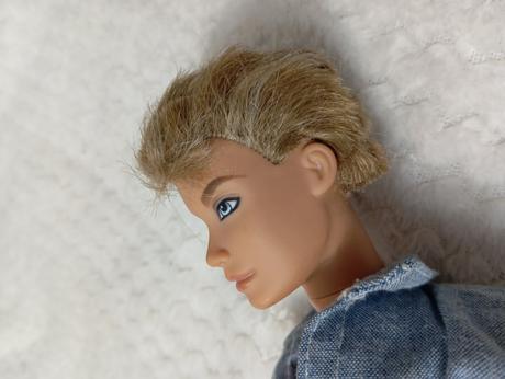 Barbie my scene chlapci ken, 